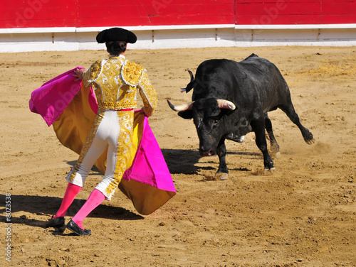 Matador z Bullem