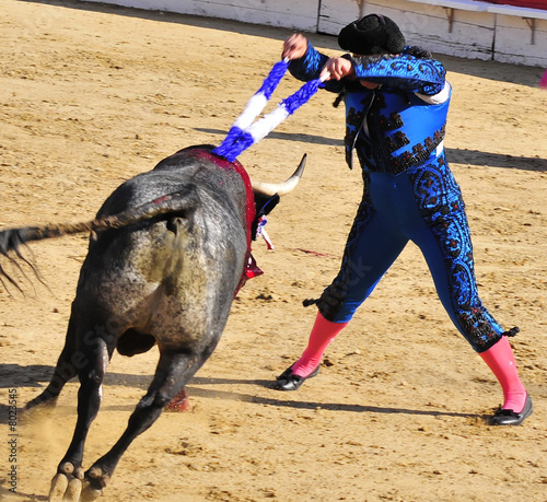 Bullfight & Bandirillas