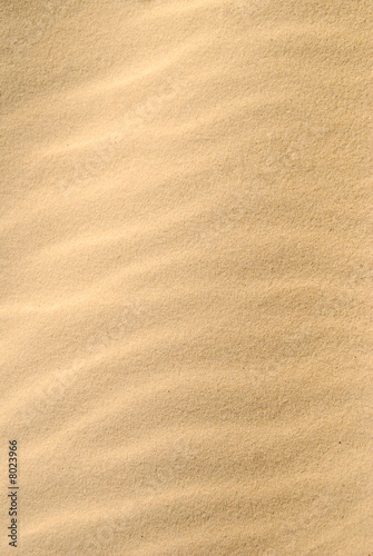 Golden Rippled Sand