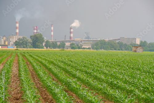 Culture et pollution