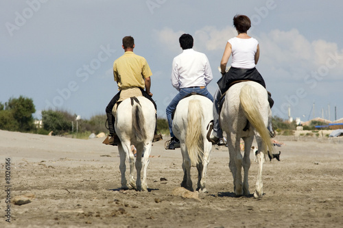 Promenade à cheval sur la plage en Camargue