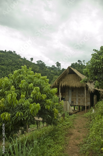 A hut in the jungle