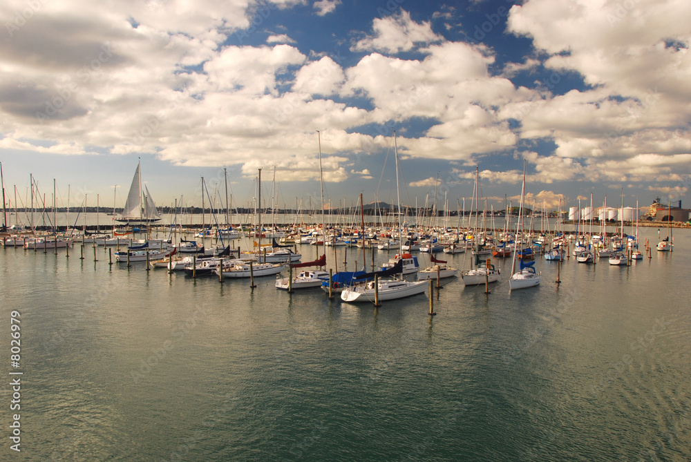 Auckland- city of sails, New Zealand