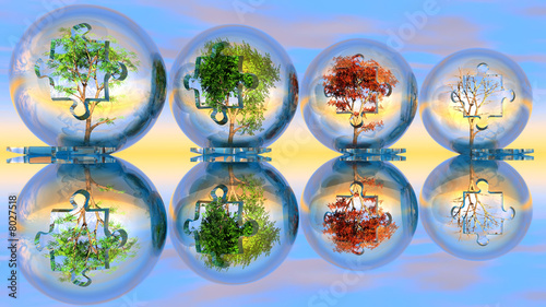 les arbres en bulle