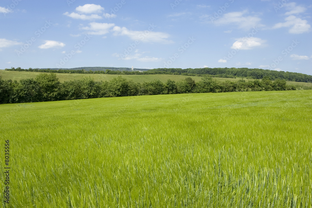 Obraz premium Frühlingszeit
