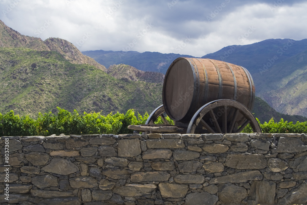 Weingut,Cafayate,Argentinien