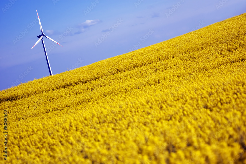 Wind turbines. Wind turbines.