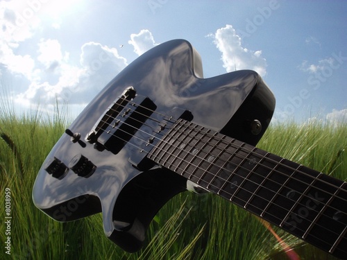 Singlecut im Gras