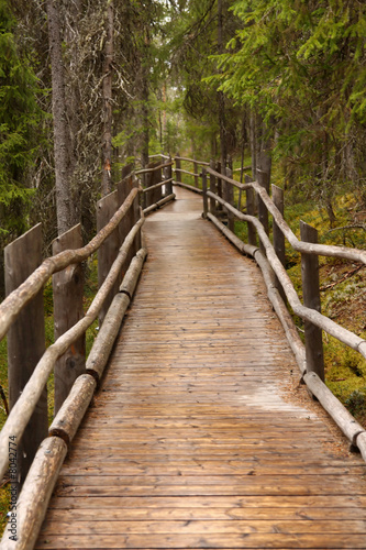 Wooden path © Sandra Kemppainen