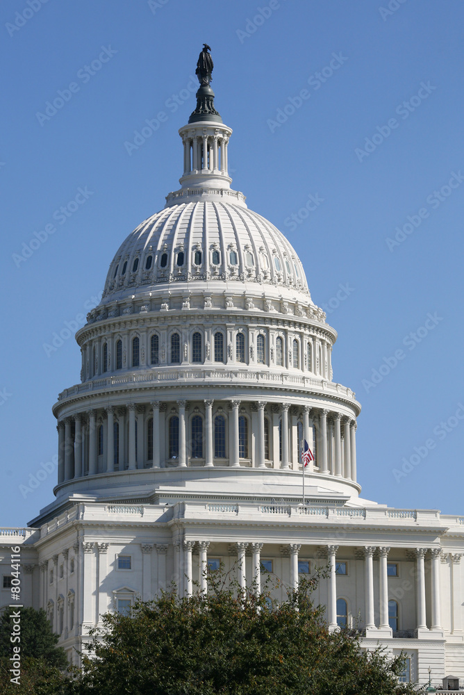 Obraz premium US Capitol