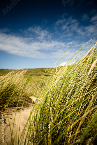 plage 08