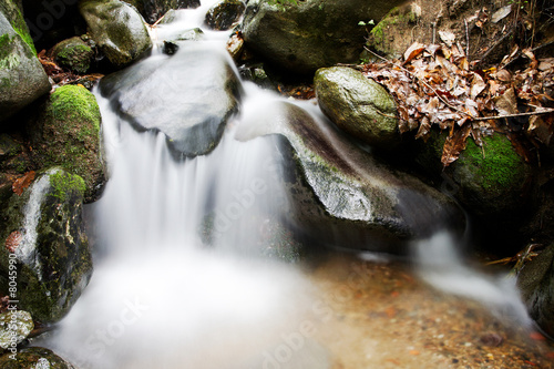 Small waterfall in the woods