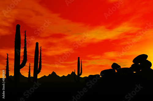 arizona,