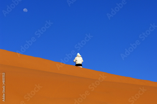 A sand dune in the desert, Namibia, Africa