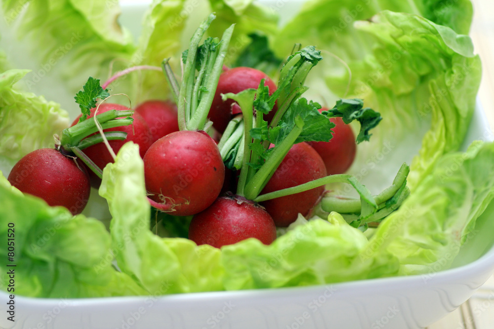 Salat mit Radieschen Salat mit Radieschen