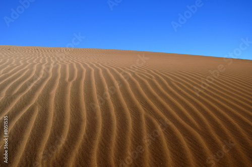 A sand dune in the desert  Namibia  Africa