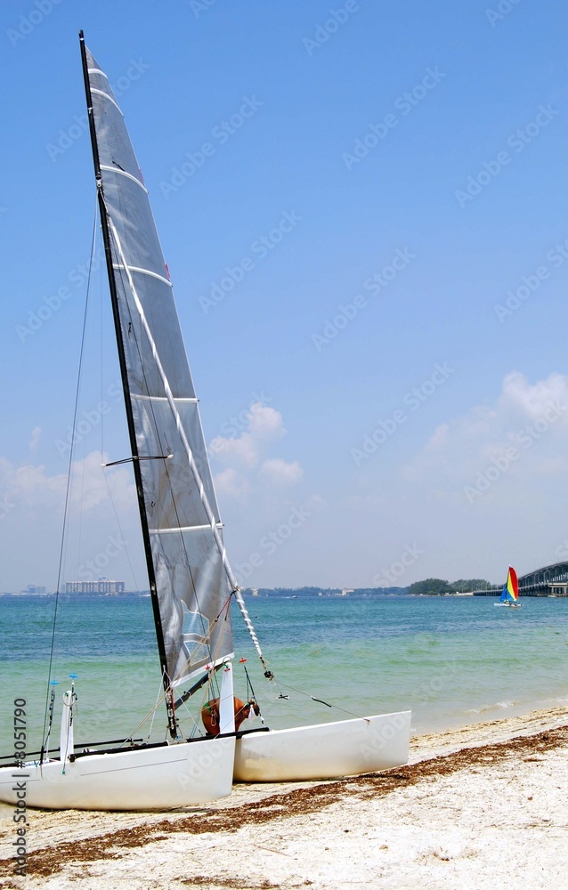 Obraz premium White Catamaran With a Silver Sail