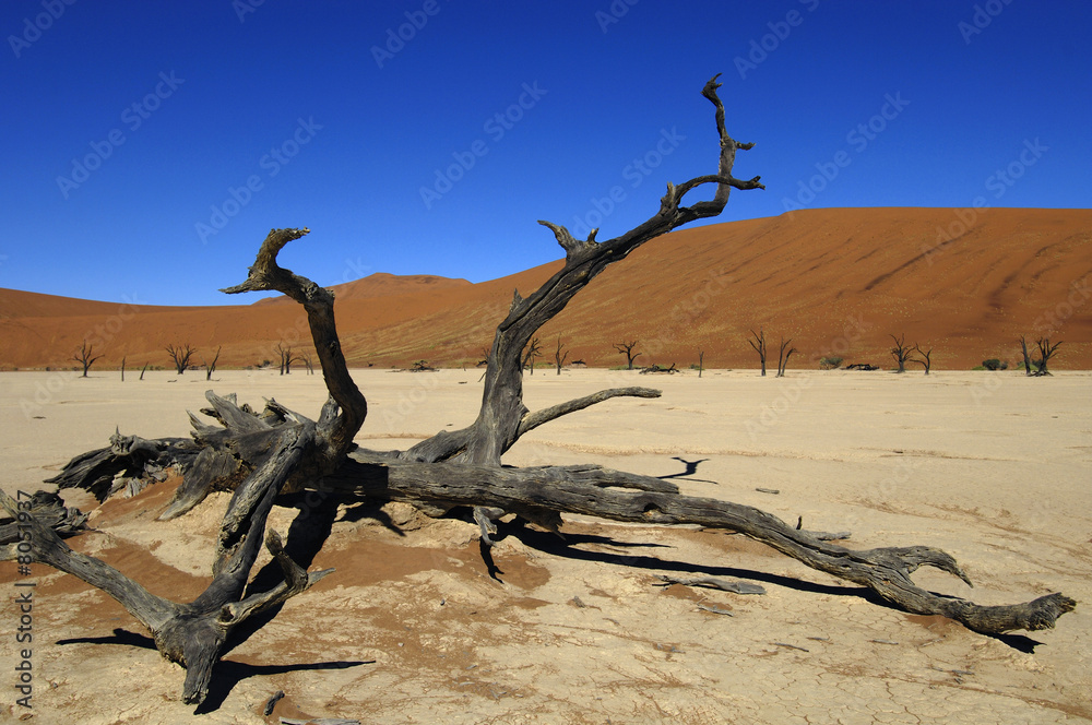 A sand dune in the desert, Namibia, Africa A sand dune in the desert, Namibia, Africa