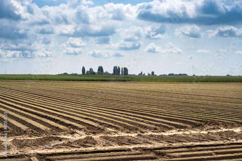 Geometric striped furrow field in a cloudy day