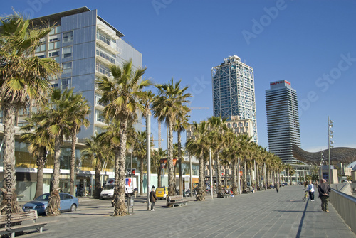 Canvas Print Barcelona Port Olímpic