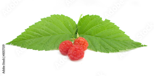 Raspberry with leaves