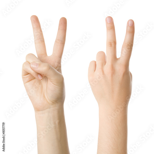 Concept for victory sign made with hands isolated on white