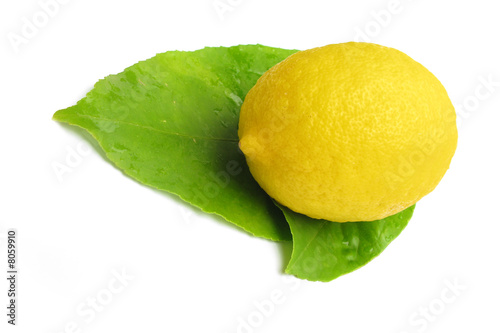 Lemon perfect with leaves