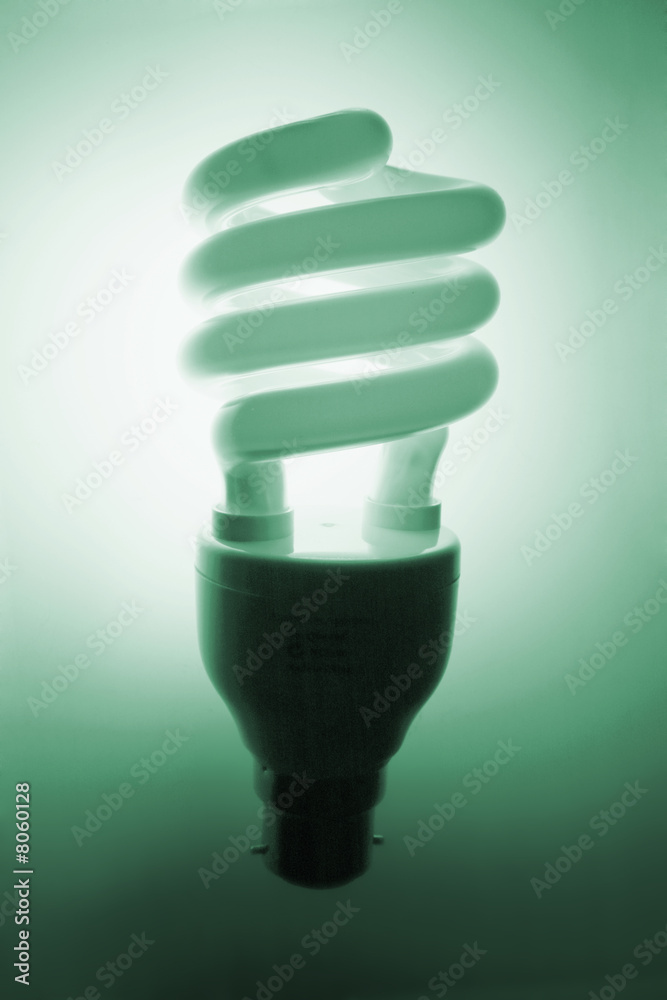 Fluorescent Bulb Fluorescent Bulb