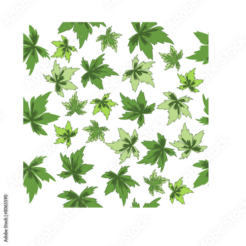 Seamless figure green leaves on  white background.