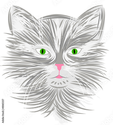 Drawn cat © WitchEra