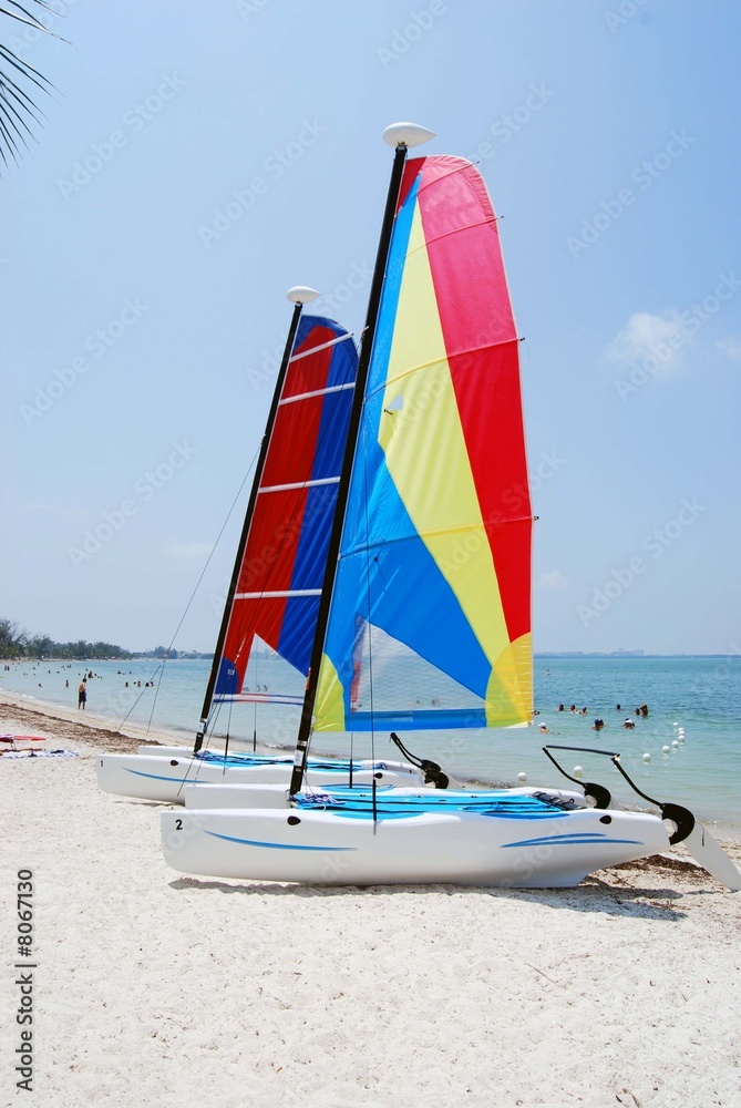 Fototapeta premium Sail Catamarans 