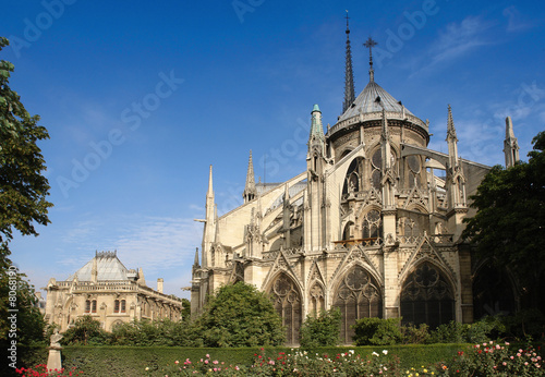 paris Notre Dame