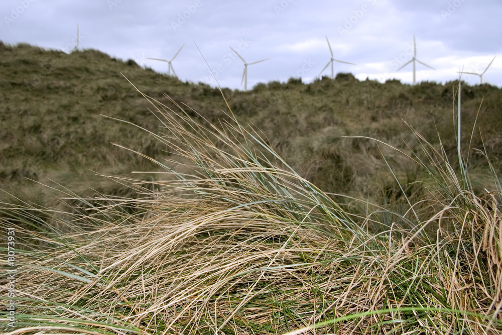 Obraz premium alternative energy 1