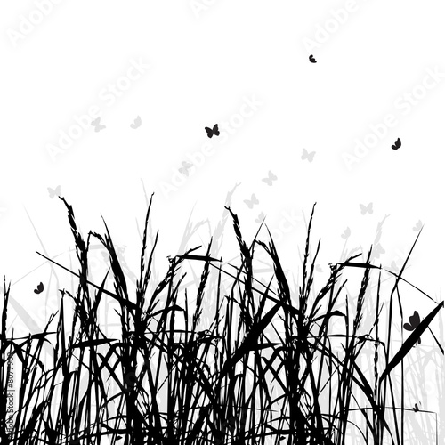 Grass silhouette, summer background