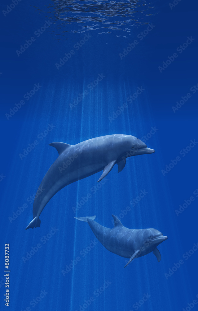 Naklejka premium Dolphins Undersea - 3d render