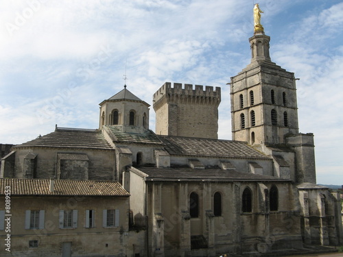 Notre-Dame Cathedral in Avignon