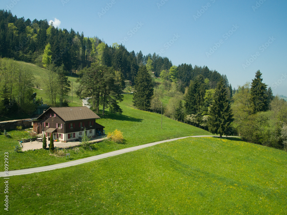 Farmhouse in alpine meadow