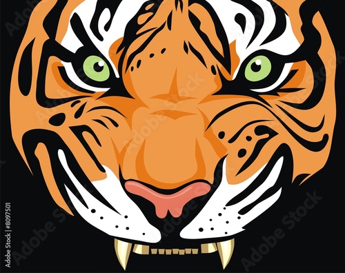 Canvas Print Tiger