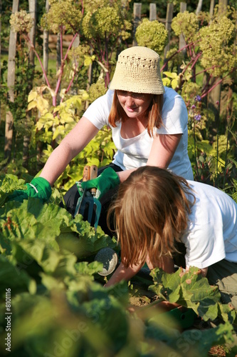famille potager