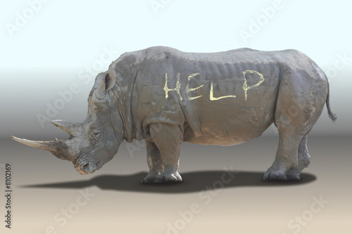 Rhinoceros need help