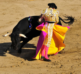 Poster Stierenvechten Matador en stier in duel  © Clarence Alford