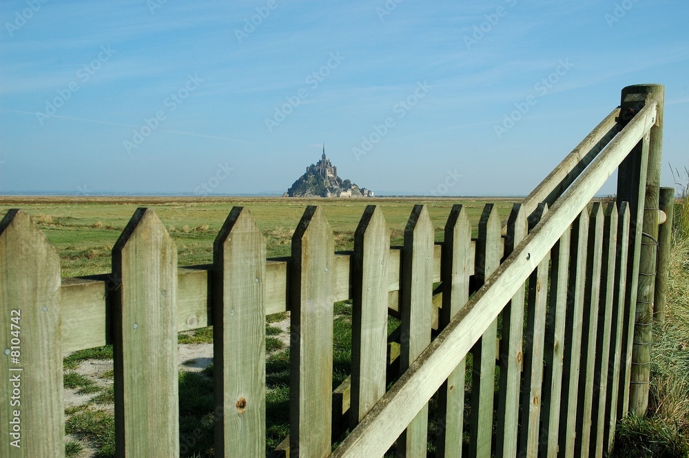 Obraz premium Mont Saint-Michel from the fields
