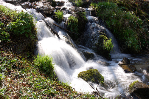 Ruiseeau près du Saut de Gouloux dans le Morvan