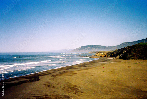 California Shores