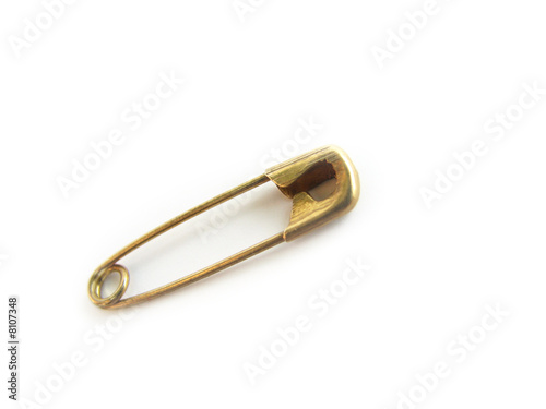 Pin