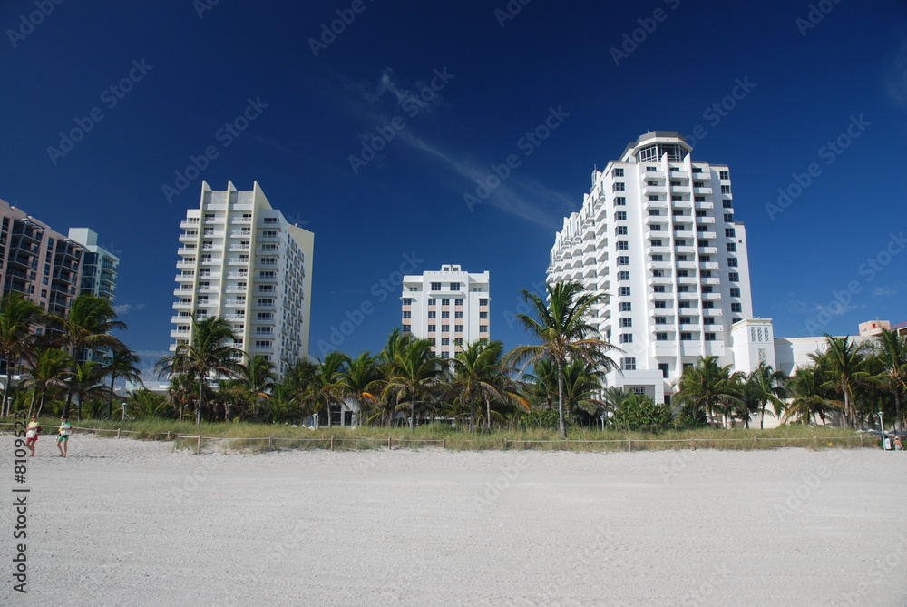 Obraz premium Miami beach skyline