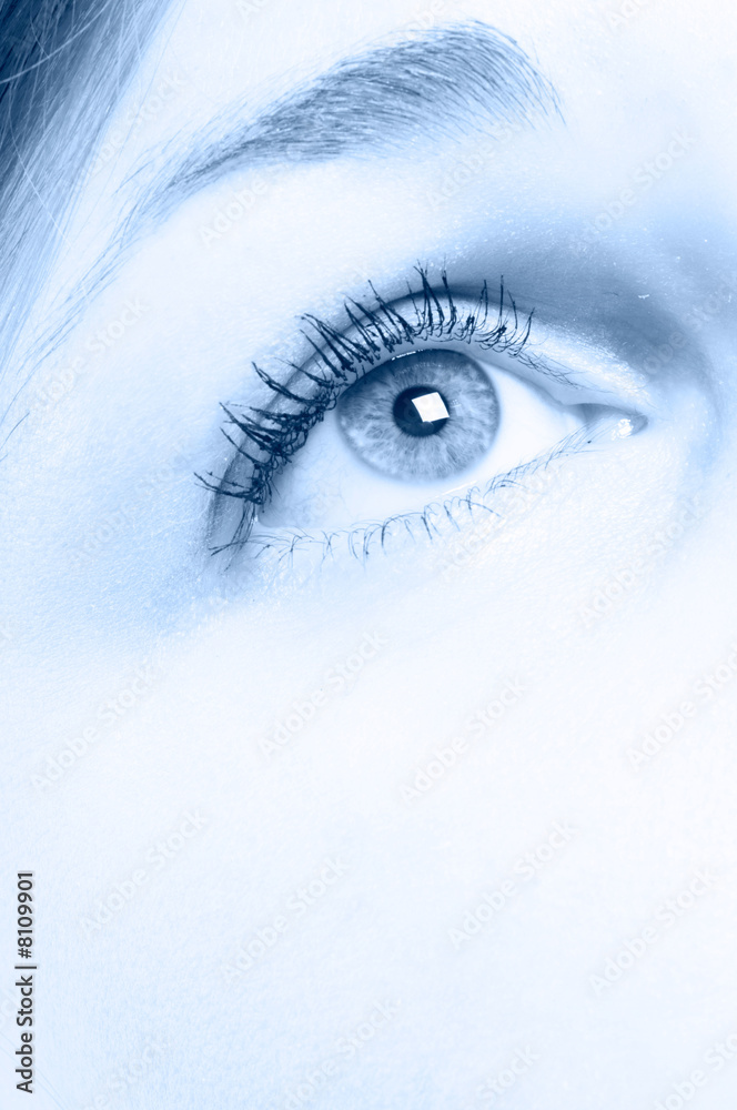 Human Eye Human Eye