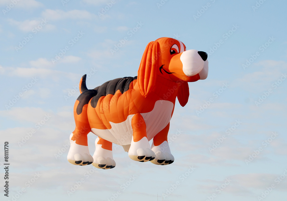 Obraz premium Dog shaped balloon