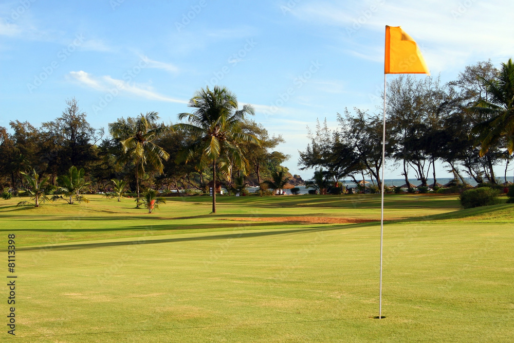 Obraz premium Perfect Green