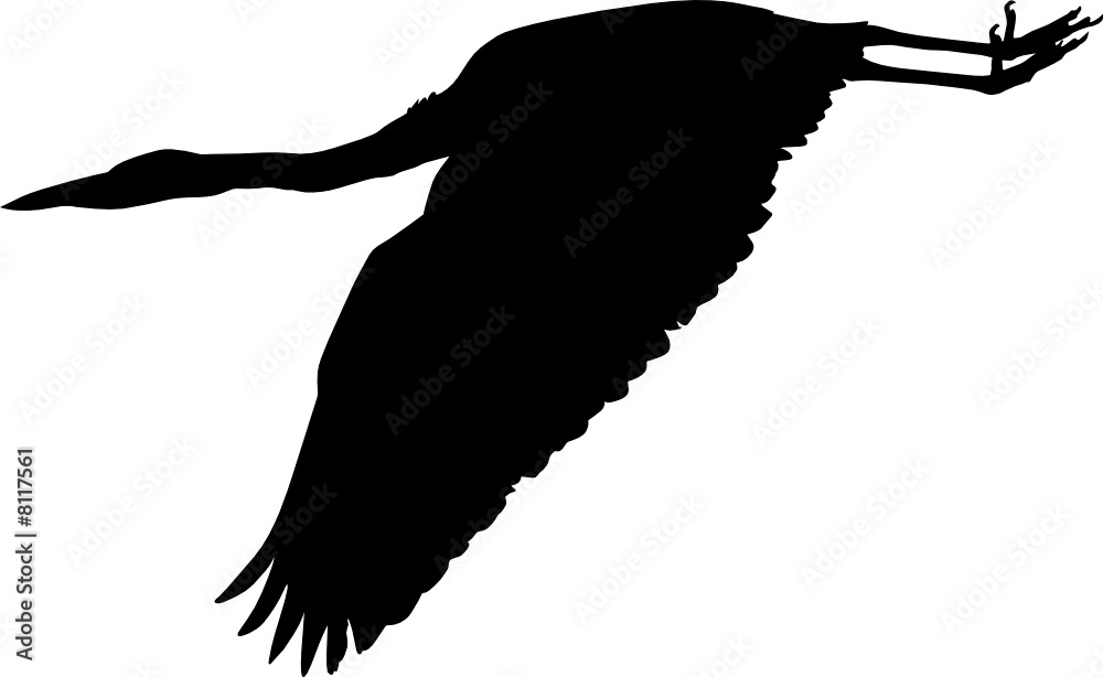 Obraz premium vogel